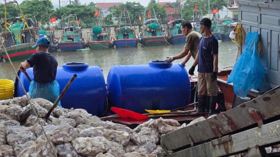 Hải Phòng yêu cầu di dời người dân khỏi khu vực nguy hiểm trước 20h hôm nay