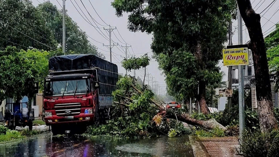 Mưa dông làm đổ ngã nhiều cây xanh, trụ điện, tốc mái nhiều công trình, nhà kho ở Đồng Tháp
