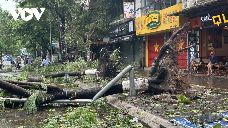 Hà Nội sẵn sàng đối phó với tình huống nhiều cây xanh gãy đổ do bão số 3