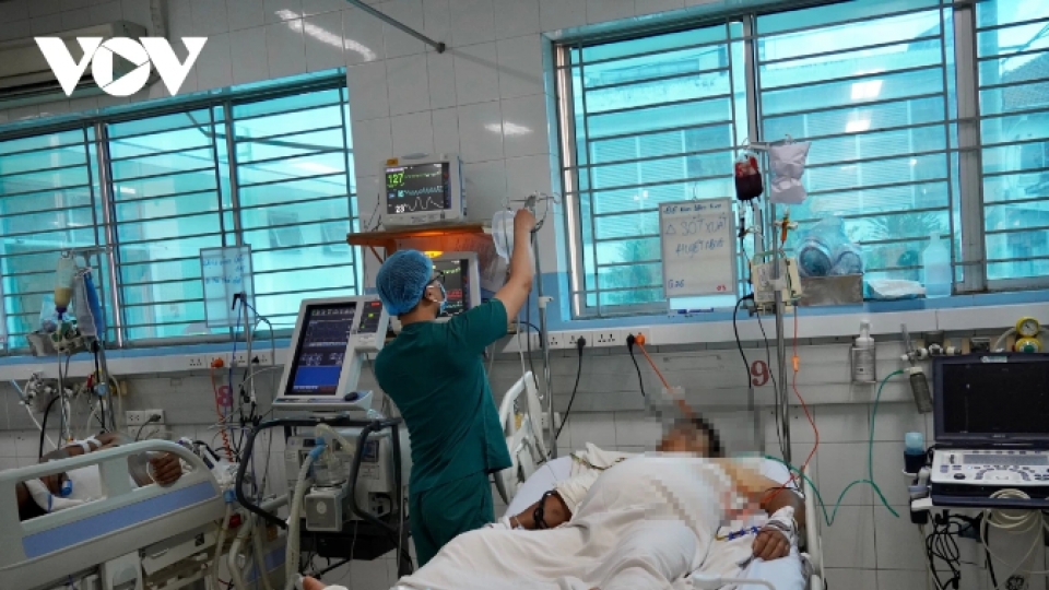 HCM City reports ten dengue deaths amid surge in infections