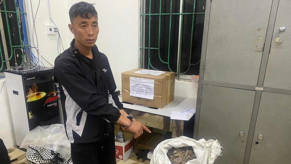 doi_tuong.jpg