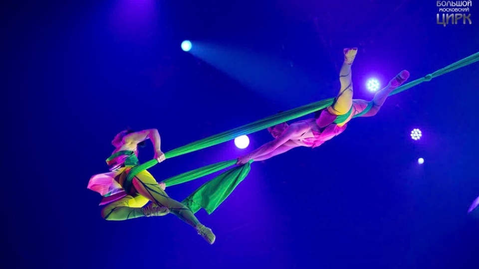 Vietnamese circus triumphs at two international festivals