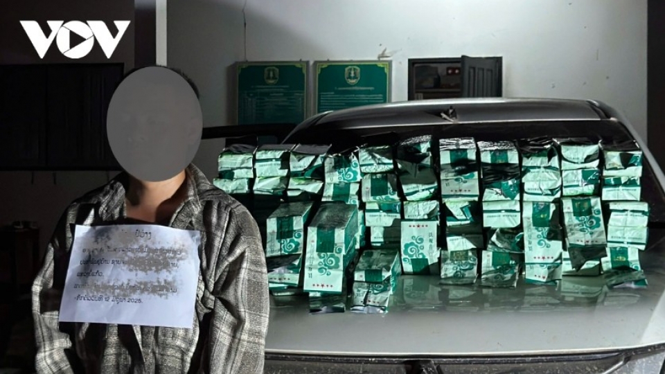 Cross-border drug rings busted, nearly 2.5 tonnes of narcotics seized