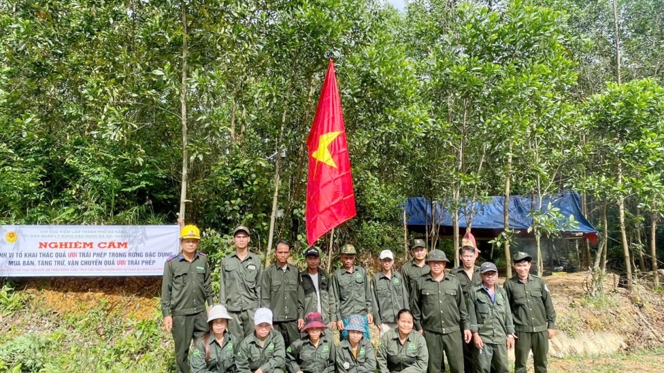 luc_luong_kiem_lam_tp_da_nang_tuc_truc_20250720083236.jpg