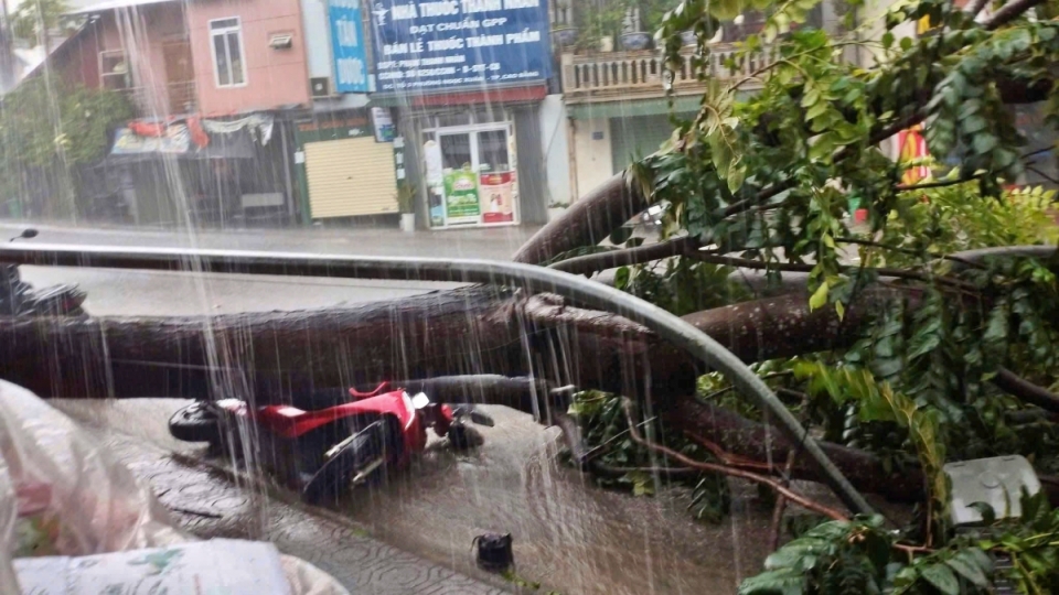Giông lốc, mưa đá gây nhiều thiệt hại tại Cao Bằng