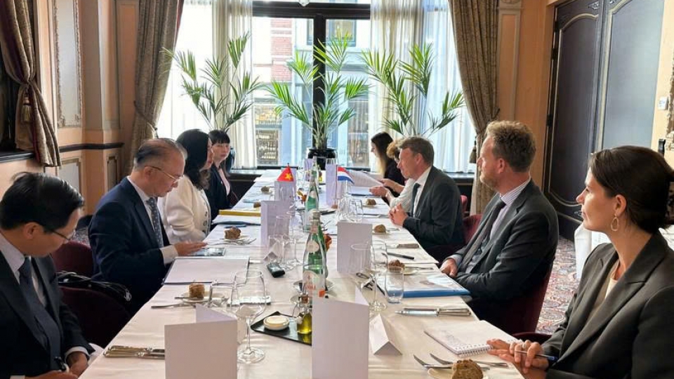 Vietnam, Netherlands hold first deputy-ministerial political consultation
