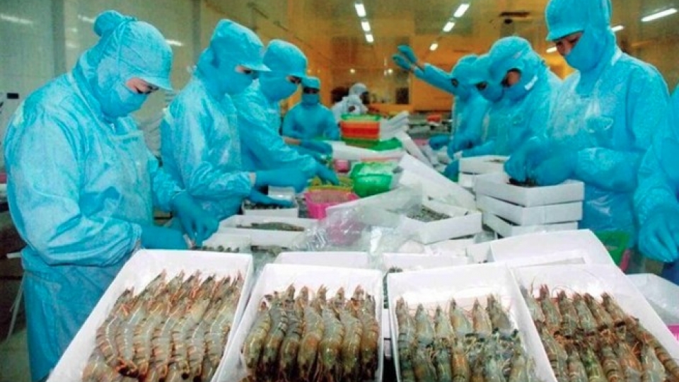 seafood exports1.jpg