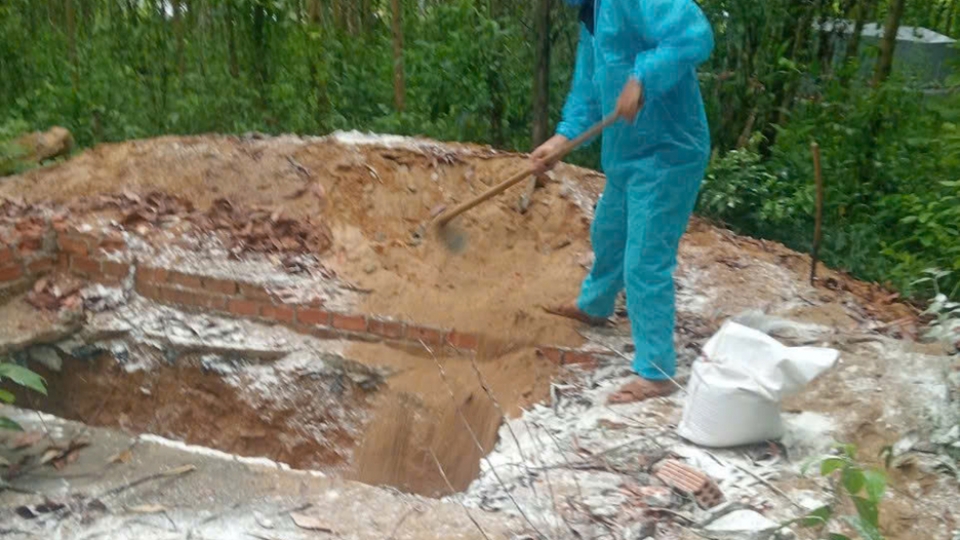 tieu_huy_lon_benh_o_xa_nghia_hanh.jpg
