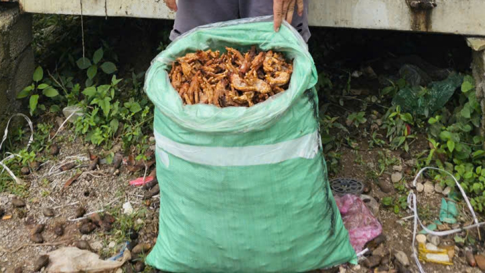 Đối tượng cùng tang vật.jpg