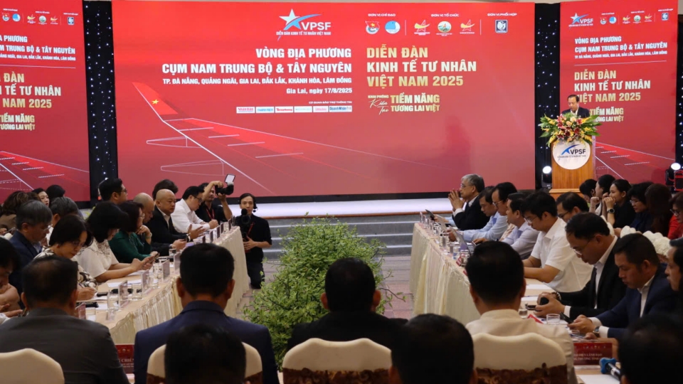 17-8-dien dan kinh te tu nhan anh 2.jpg