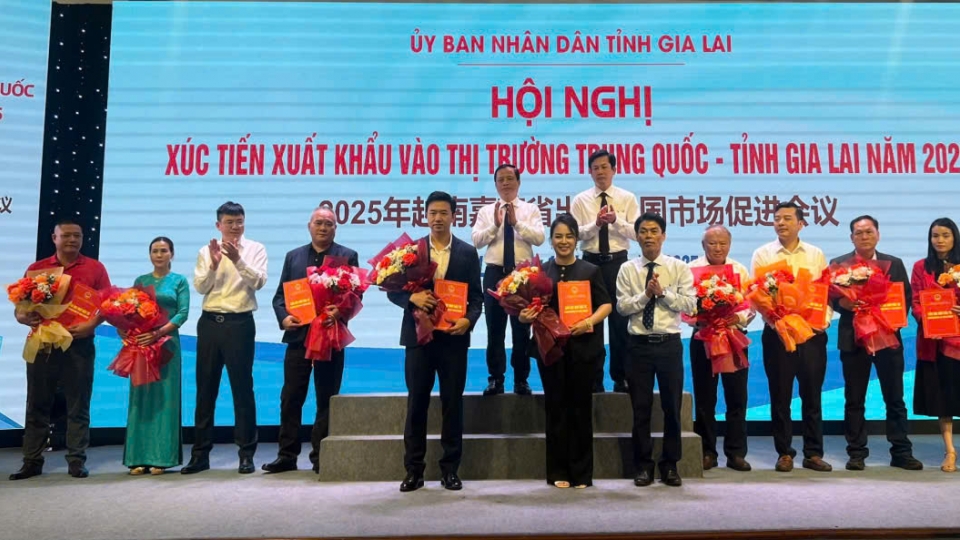 8-8-_gia_lai_co_tiem_nang_noi_troi_xuat_khau_vao_thi_truong_trung_quoc-_anh_4.jpg
