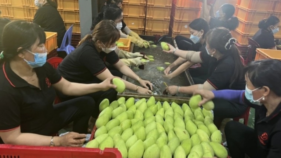 Chinese market.jpg