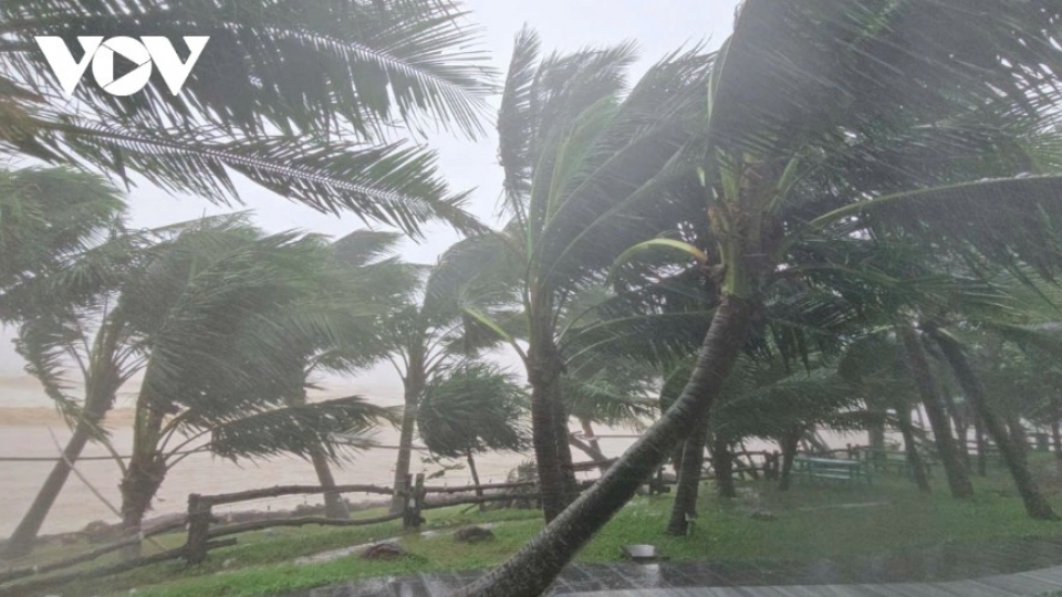Currently, coastal areas of Thanh Hoa are experiencing strong winds, heavy rain, high waves, and rising sea levels..jpg