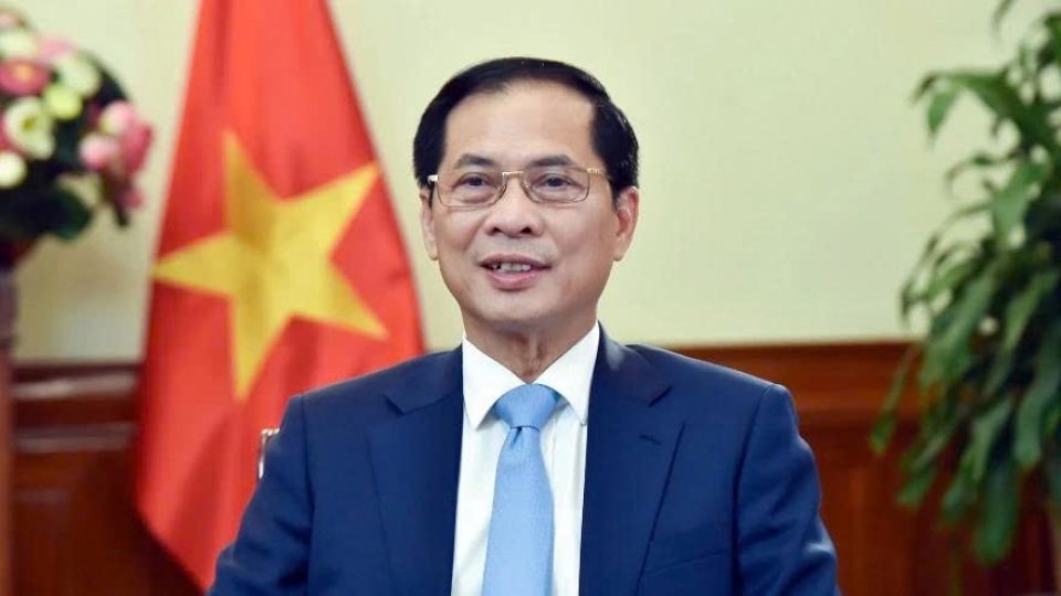 Deputy Prime Minister and Foreign Minister Bui Thanh Son.jpg