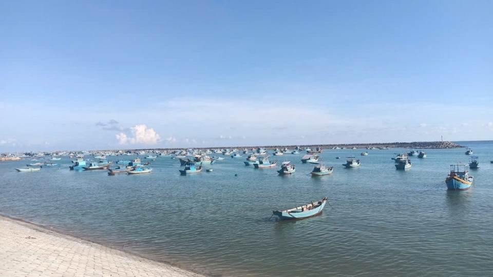 Một khu neo đậu tàu cá ở đặc khu Phú Quý.jpg