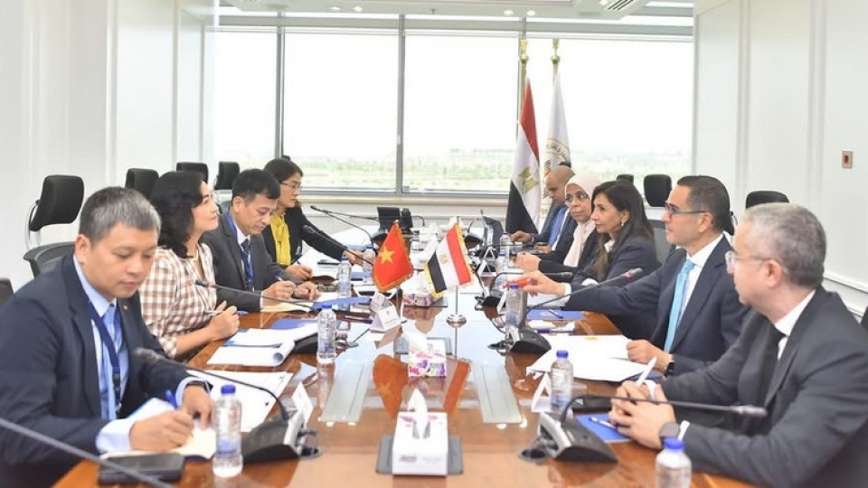 Vietnam, Egypt strengthen economic ties, eye bilateral FTA