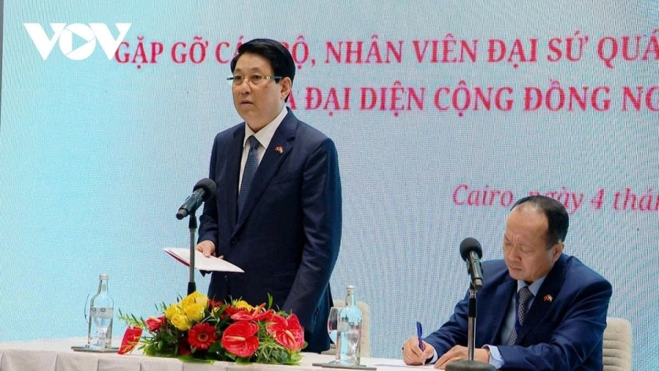 President Luong Cuong meets with Vietnamese expatriates in Egypt.jpg