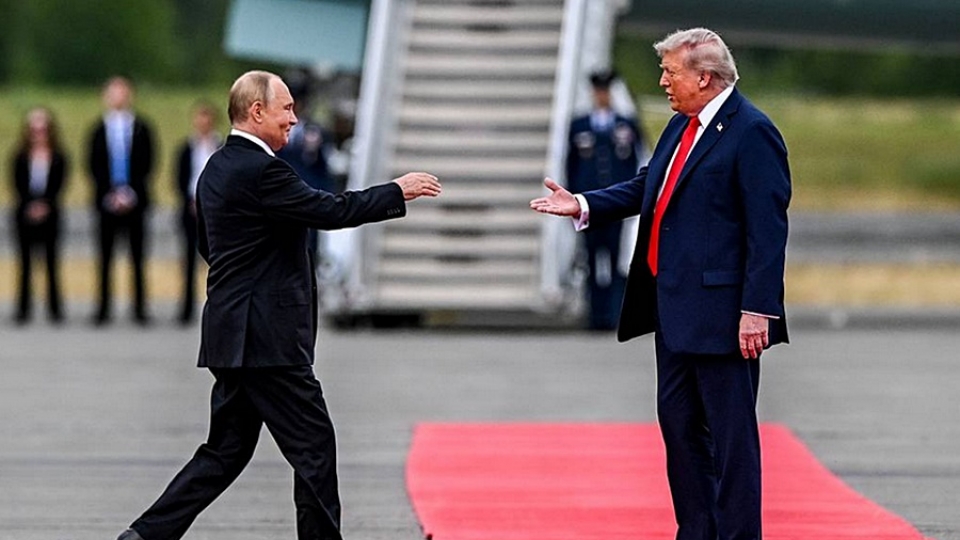 Trump tiep don Putin tren tham do tai san bay Alaska, Putin Trump than thien, thuong dinh Nga Putin -tass.jpg