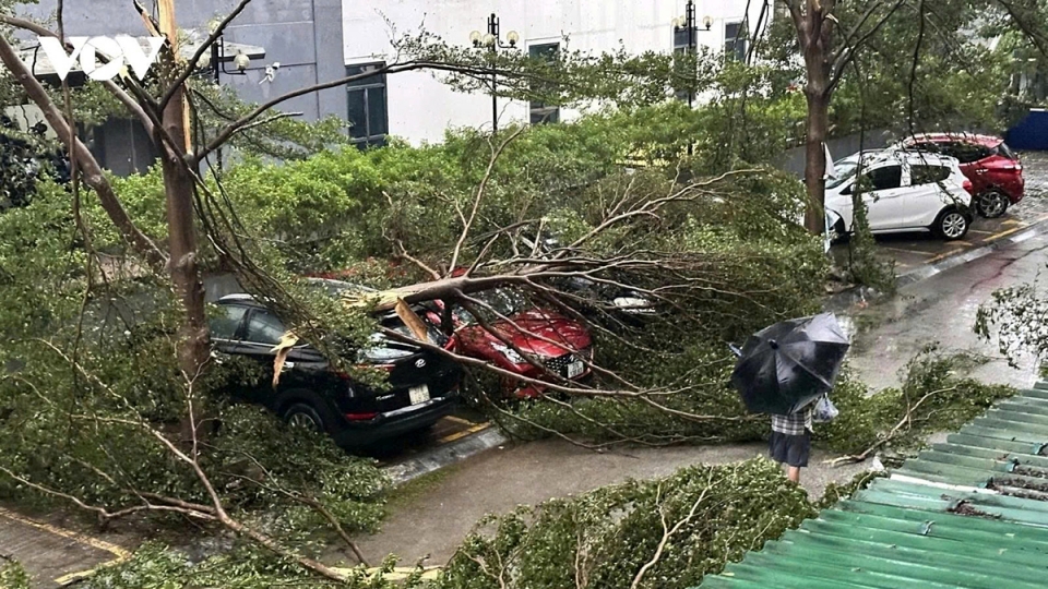 Typhoon Kajiki, packing winds of more than 100kph has brought down many big trees in Nghe An province following its landfall on August 25.jpg