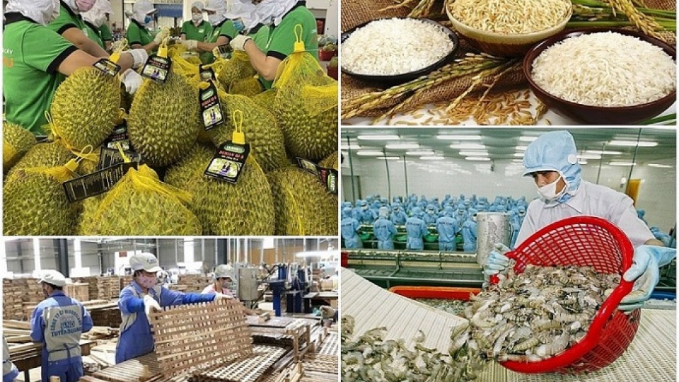 agriculture 1.jpg