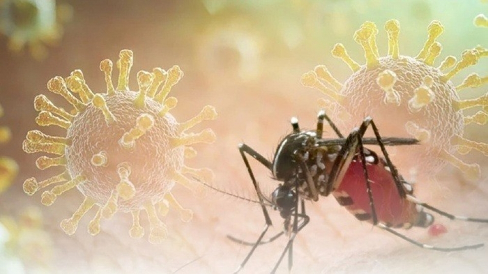 bien_chung_cua_chikungunya_1.jpg