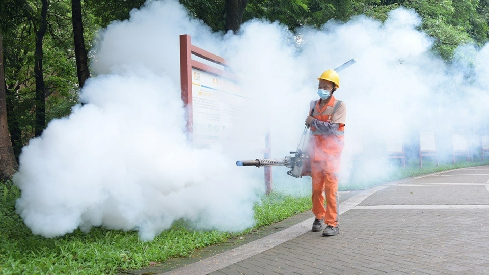 ca_mac_chikungunya_2.jpg