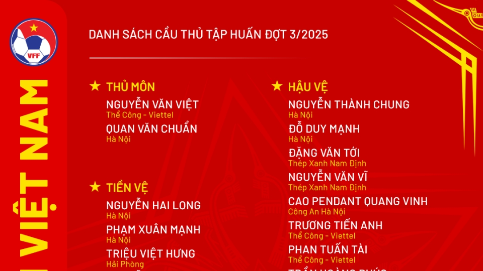 danh_sach_dtvn.png