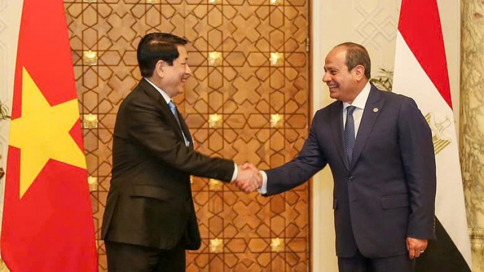 egyptian_president_abdel_fattah_el-sisi_and_his_vietnamese_counterpart_luong_cuong.jpg