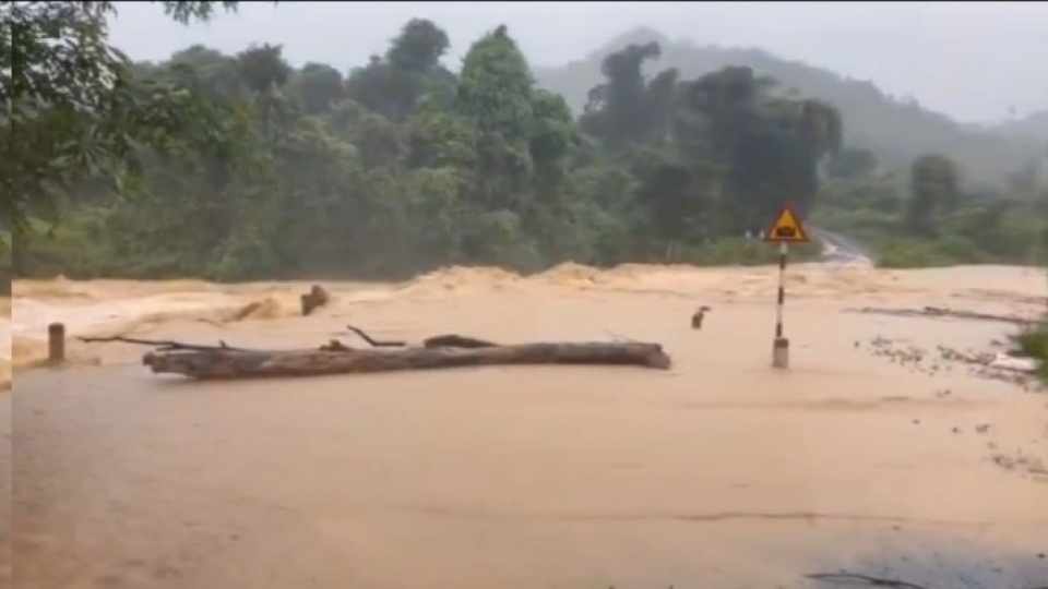 Typhoon Nongfa weakens into tropical depression
