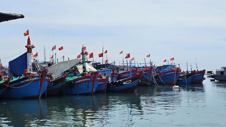khu_neo_dau_tau_ca_o_khu_vuc_dac_khu_ly_son_tinh_quang_ngai.jpg