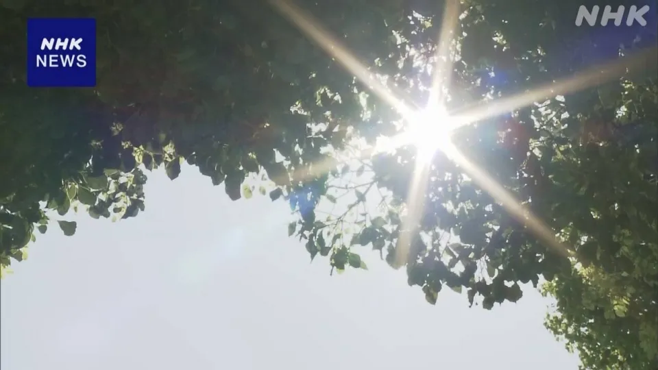nang nong Nhat Ban nang nong, thoi tiet cuc doan Nhat Ban, anh nang, cay xanh -nhk.jpg