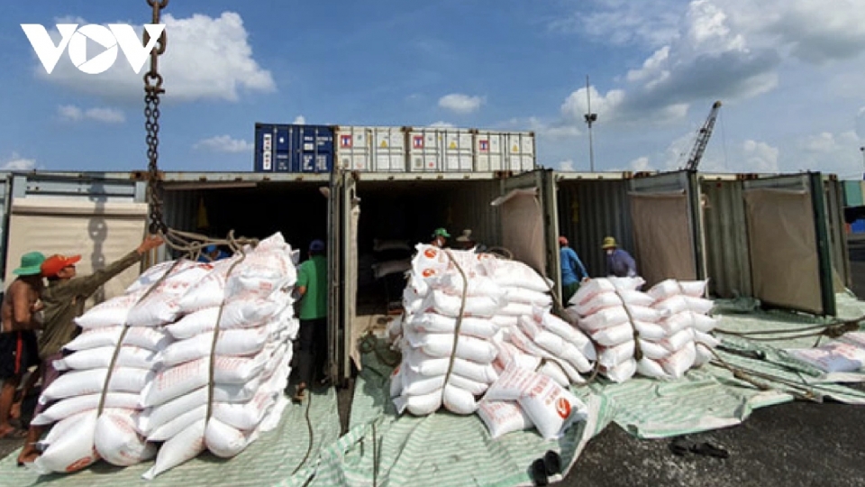 Vietnamese rice export prices reach new global high