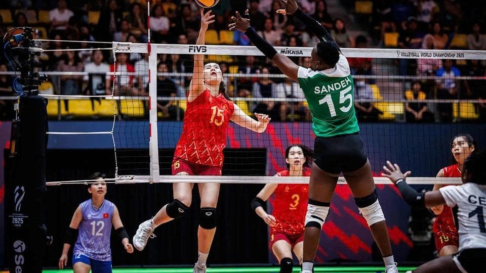 Vietnam drop six spots in FIVB world rankings following championship losses