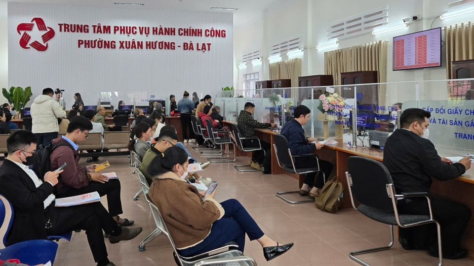 vovlamdong_3.jpg