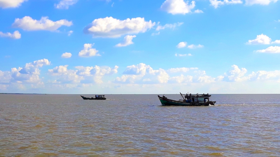 2 Cà Mau có thế mạnh về nuôi trồng, đánh bắt thủy sản sản, việc kiểm soát nguồn gốc các mặt hàng này cần tăng cường.jpg
