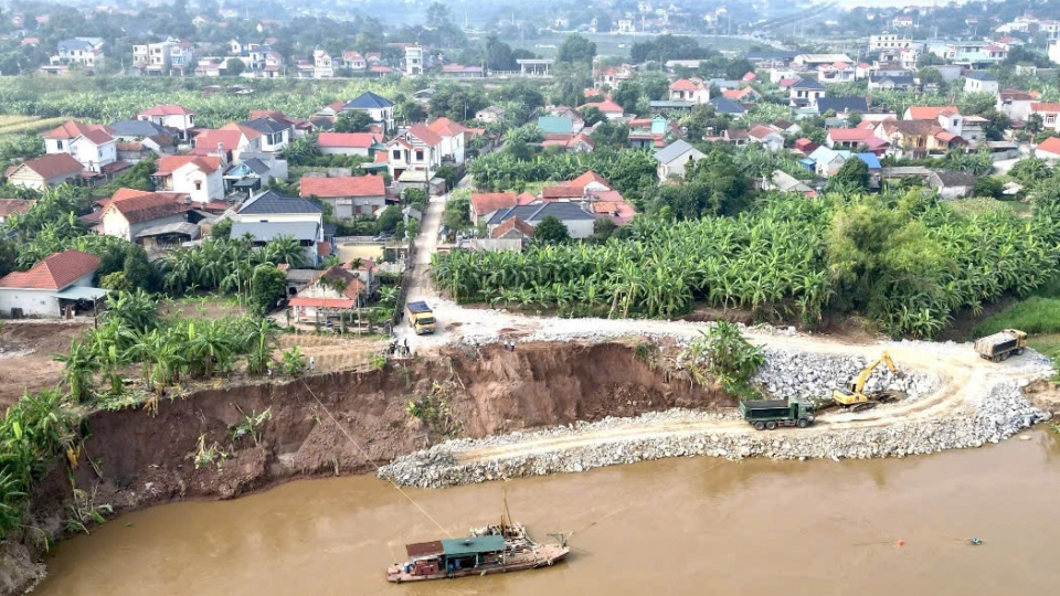 Bờ sông Hồng sạt lở, Phú Thọ chi 7,5 tỷ đồng làm kè giữ đất, bảo vệ dân