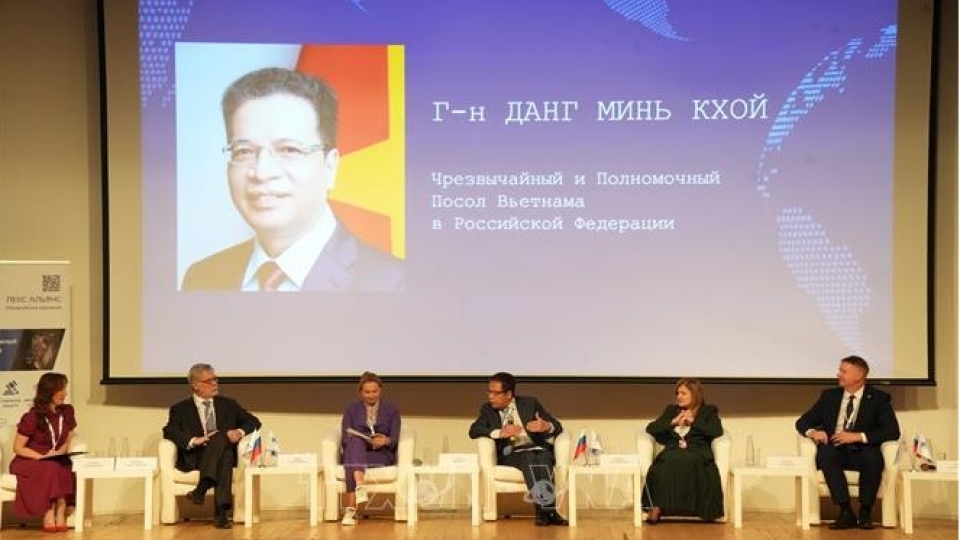 Ambassador Dang Minh Khoi speaks at the plenary session of IDT-2025.jpg