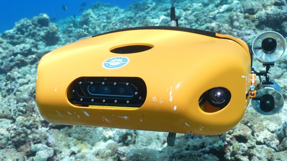 Robot Trung Quoc.jpeg