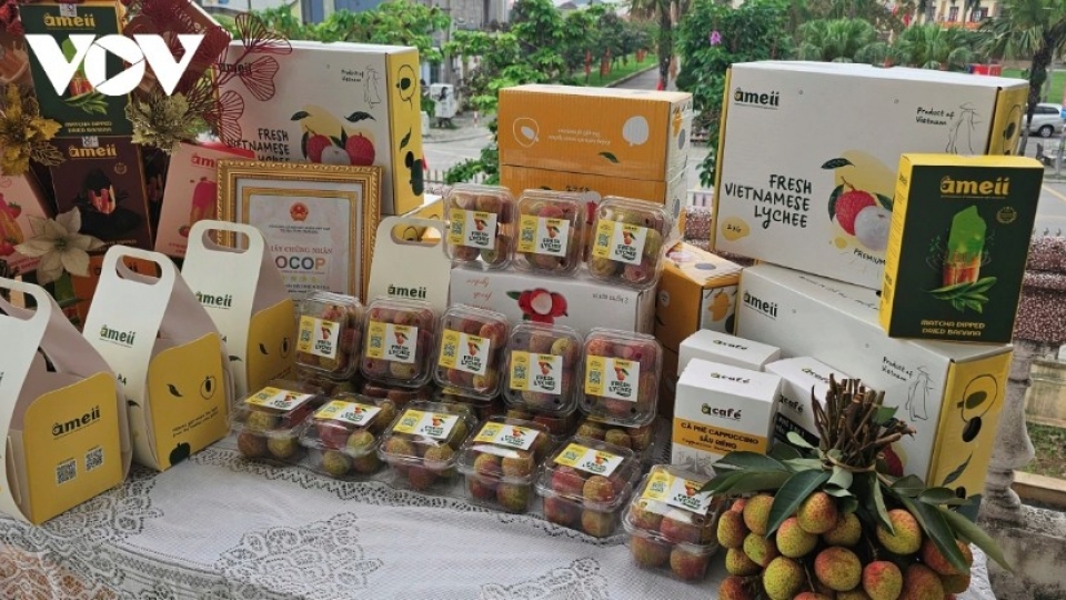 Lychee exports soar to US$80 million, tripling year-on-year