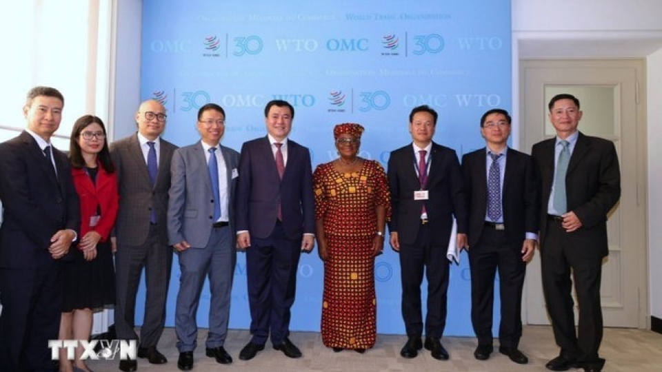 The Vietnamese delegation and WTO Director-General Ngozi Okonjo-Iweala.jpg