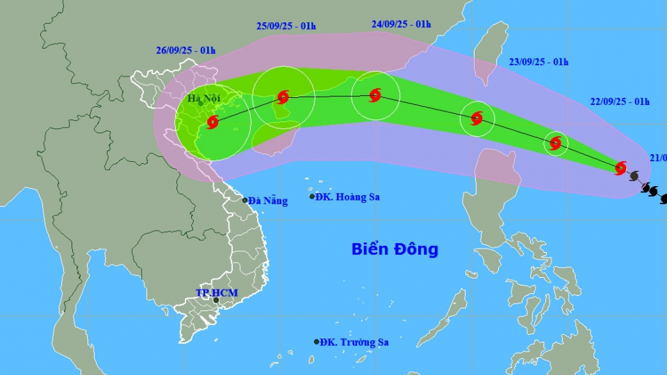 dbqg_xtnd_20250921_0200.jpg