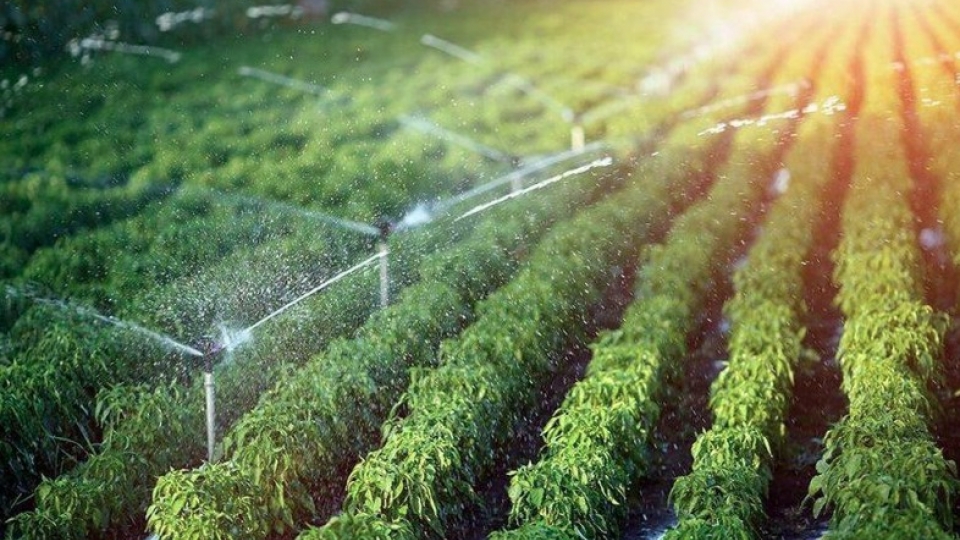 33 countries and territories to attend 8th Organic Asia Congress in Vietnam