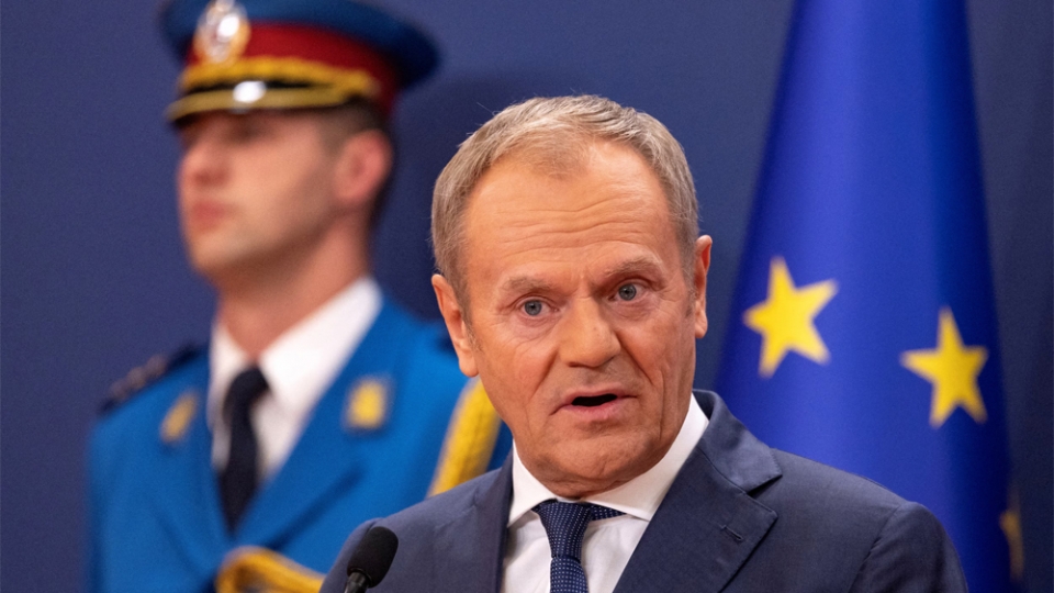 tusk1.jpg