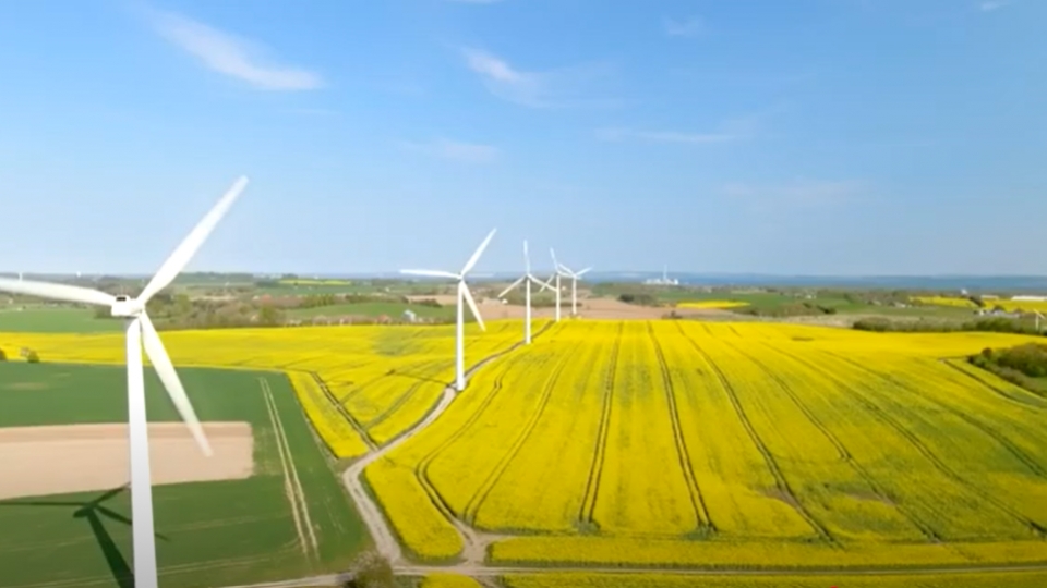 ANH ĐẠI DIỆN.png