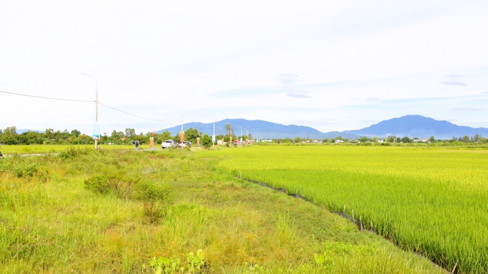 Các đơn vị, địa phương xây dựng mã định danh cho 1,2 triệu thửa đất có trong cơ sở dữ liệu.JPG