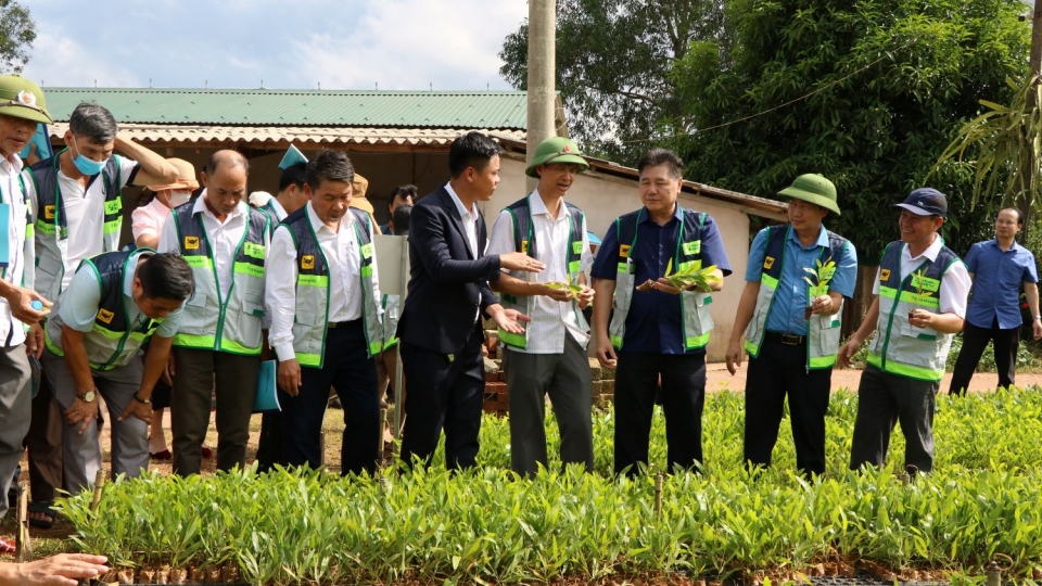 Giai đoạn 2026–2028, Trung tâm Khuyến nông Quốc gia tiếp tục triển khai các mô hình, dự án hiệu quả.JPG