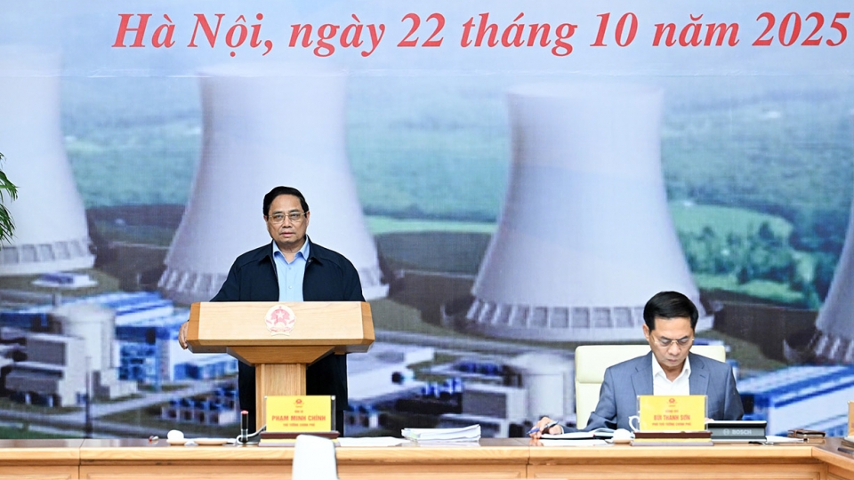Prime Minister urges swift resolution of obstacles to nuclear power projects.jpg