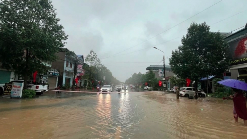 Foreign governments and organizations pledge aid for Vietnam’s post-disaster recovery