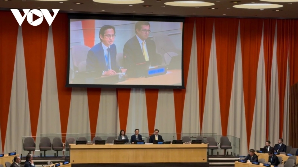 Vietnam chairs UN consultation on Nuclear Non-Proliferation Treaty.jpg