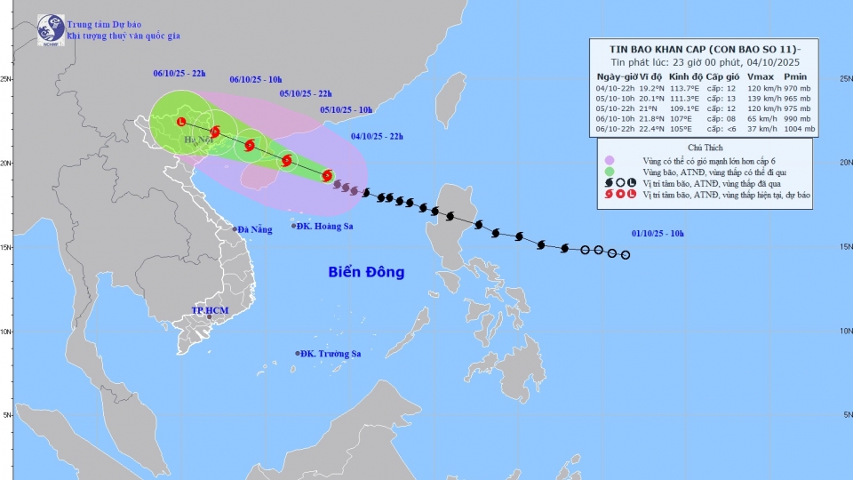 bao so 11.jpg